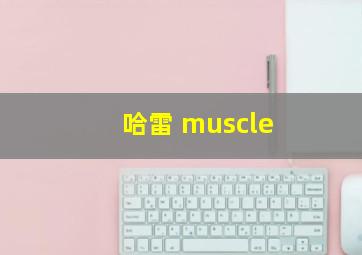 哈雷 muscle